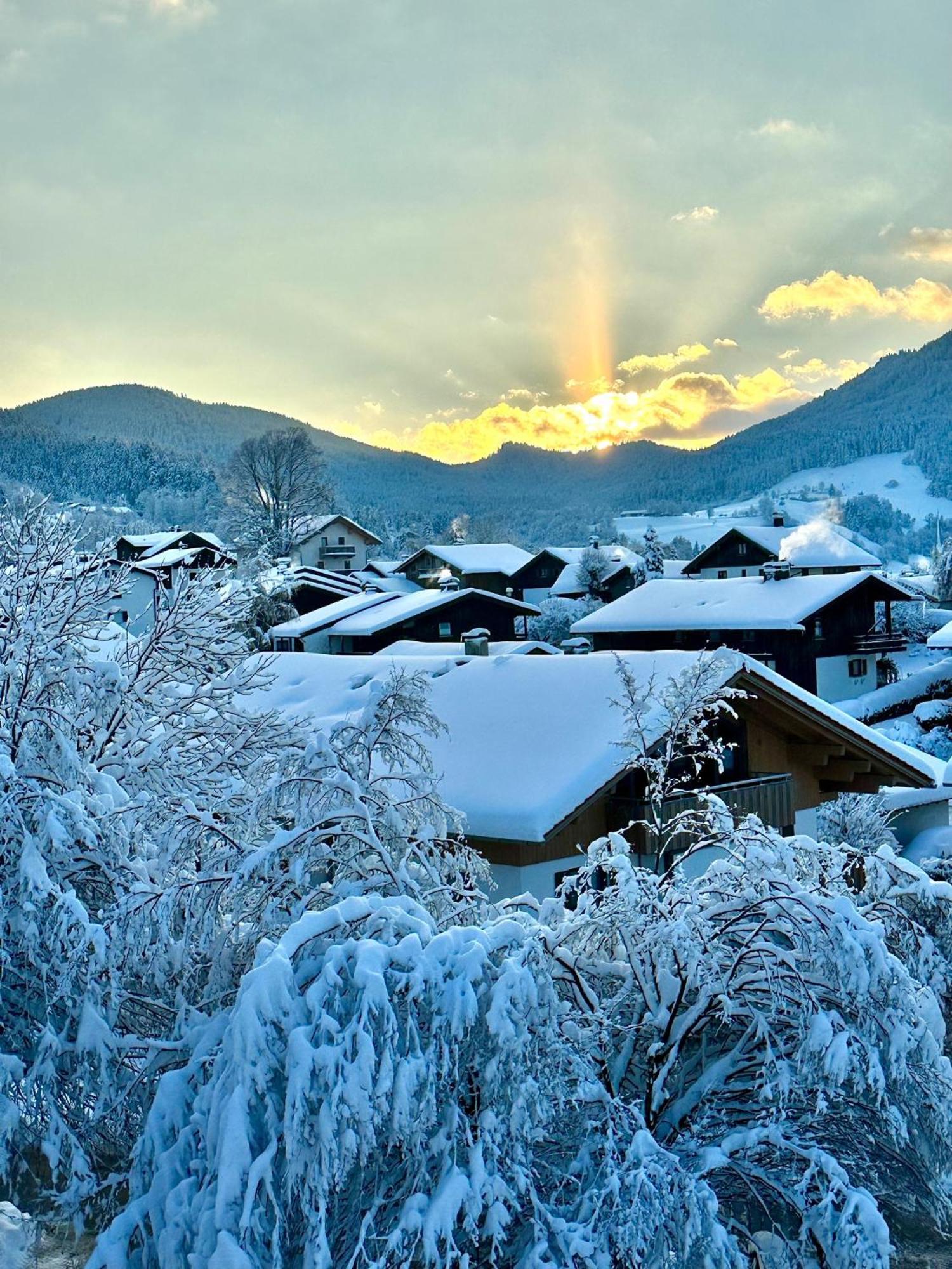 Alpenoase Schliersee - Grosse Suite Mit Sauna Oder Gemuetliche Studio Appartements Екстериор снимка