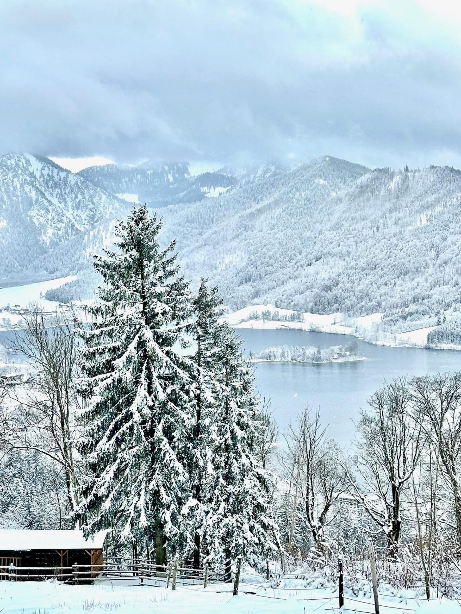 Alpenoase Schliersee - Grosse Suite Mit Sauna Oder Gemuetliche Studio Appartements Екстериор снимка